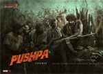 Pushpa – The Rise Movie 21 Days Share in Both Telugu Speaking States