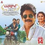 Bangarraju Movie 14 Days Share in Both Telugu States