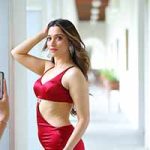 Tamannah Has Vital Role in F3 Movie
