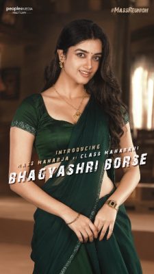 Mr Bachan Movie Bhagyashri Borse First Look Poster Launched ...