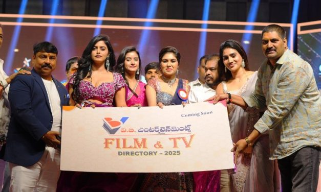 VB Entertainments Small Screen 2023-2024 Awards Event